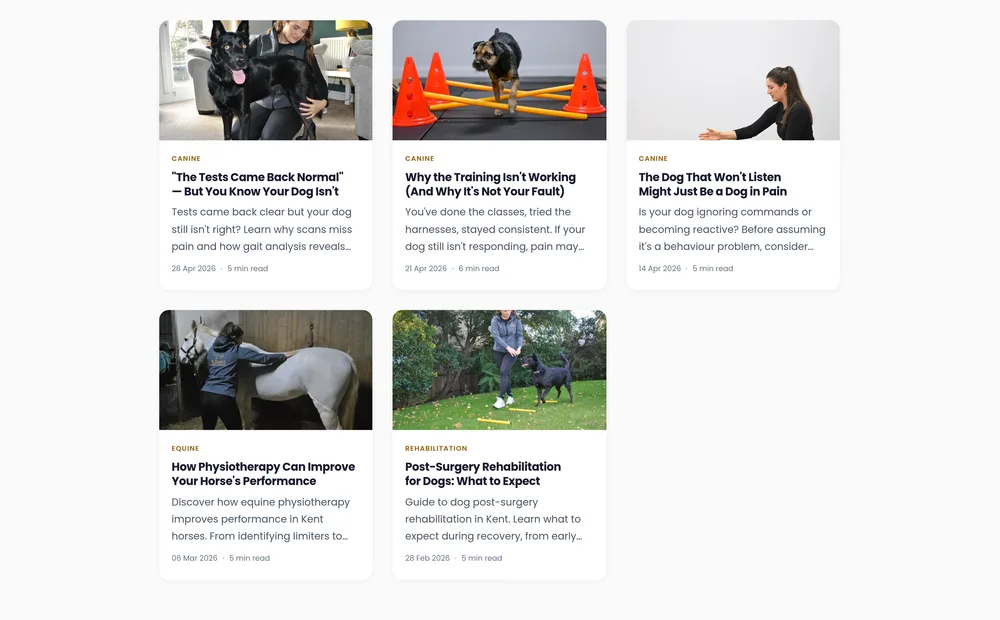The article grid on the live site, showing five published guides with photographs